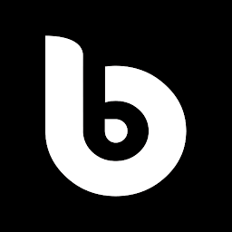 Logo dewelopera Budlex